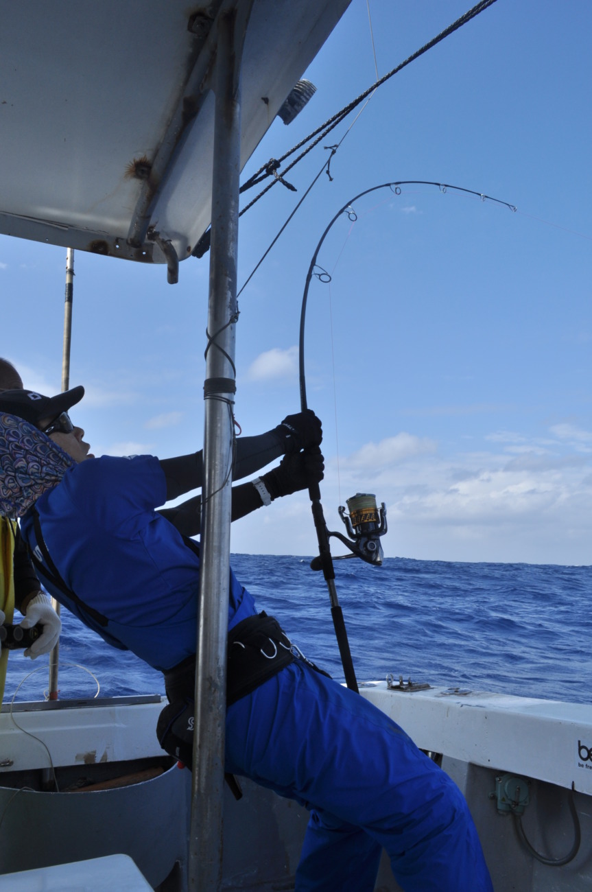 WhiteInsight 8010 | TRUTH JAPAN