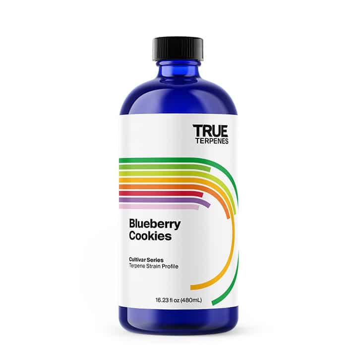 Blueberry Cookies Terpene Strain Profile | True Terpenes