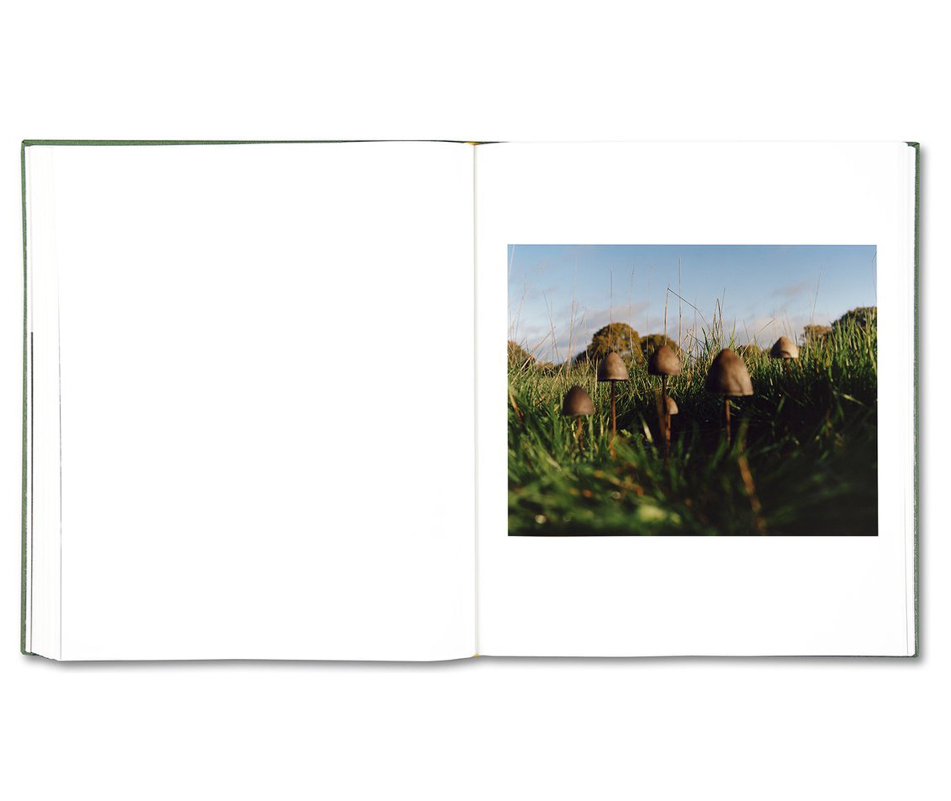 THE BRITISH ISLES by Jamie Hawkesworth [SIGNED] – twelvebooks