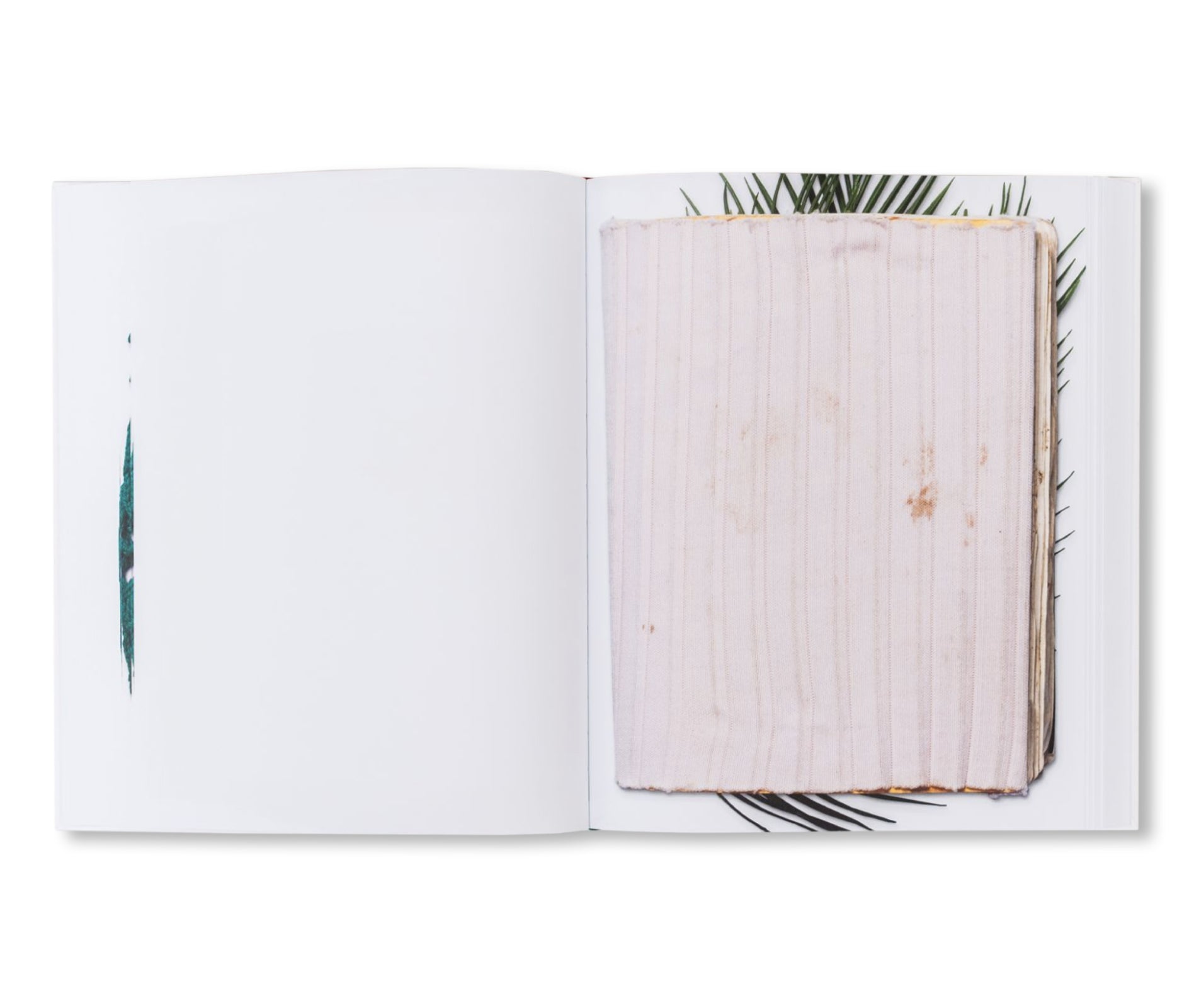 SCRAPBOOKS 1969-1985 by Walter Pfeiffer – twelvebooks