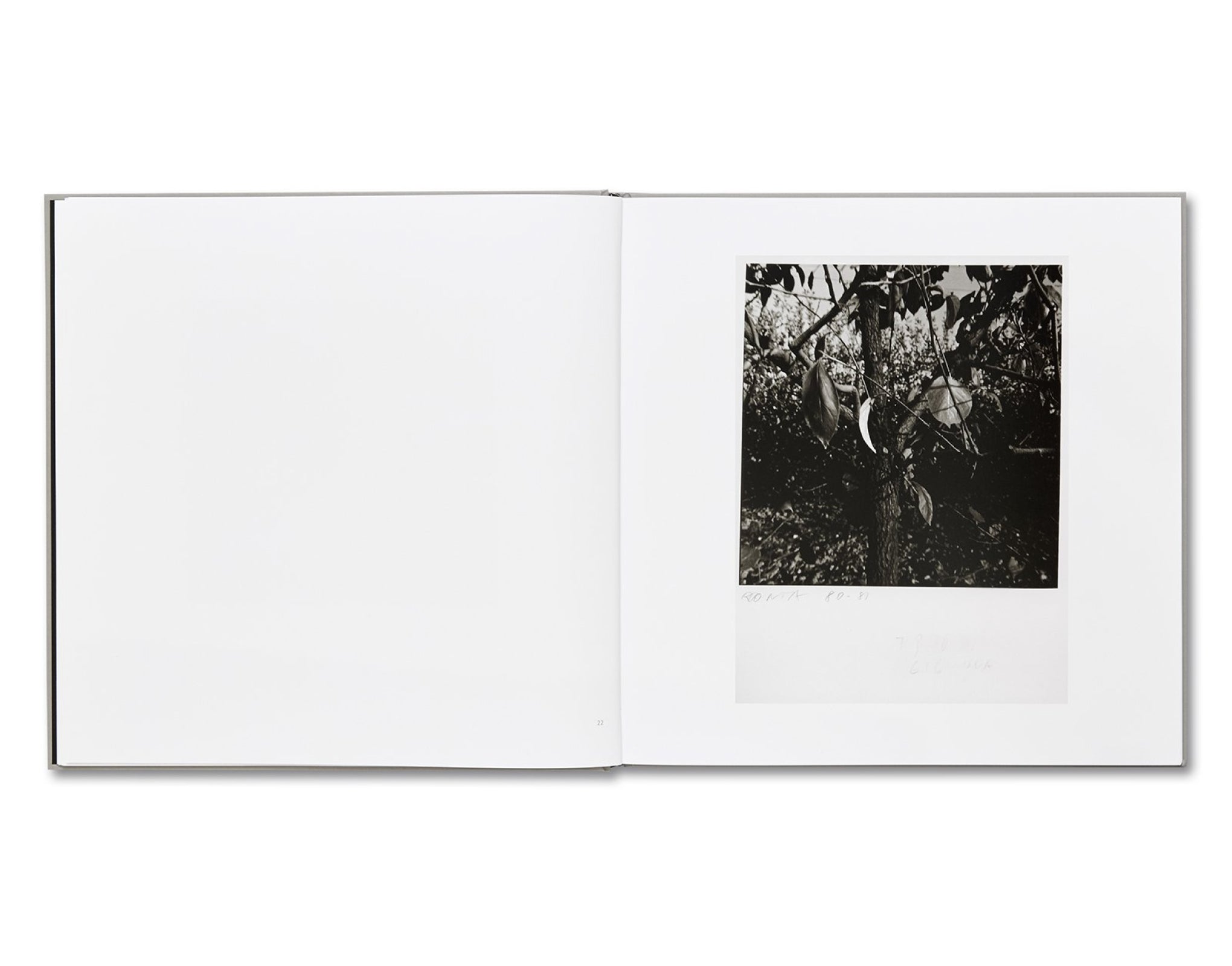 LUNARIO, 1968-1999 by Guido Guidi – twelvebooks