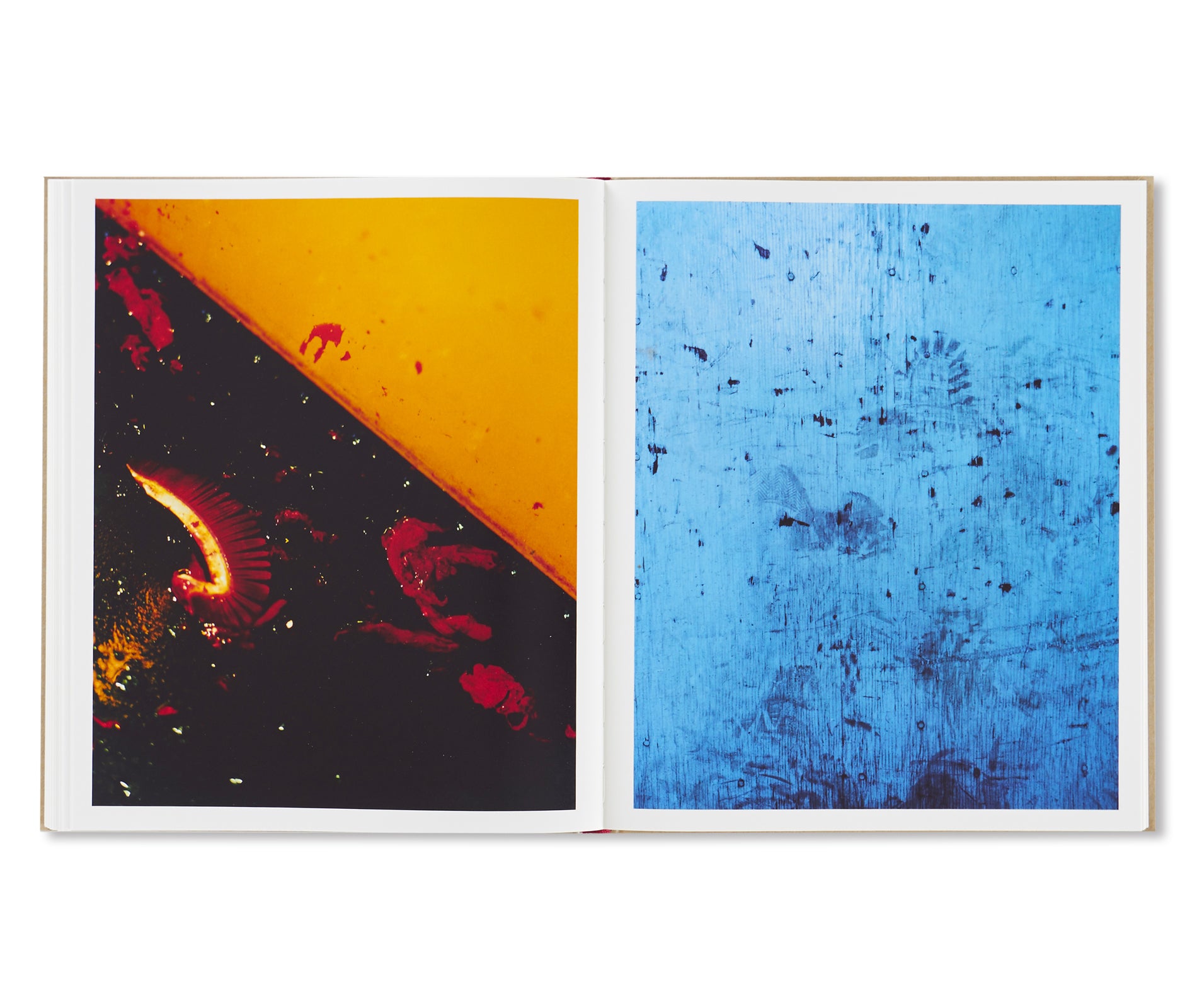 PAINTINGS by Harley Weir – twelvebooks