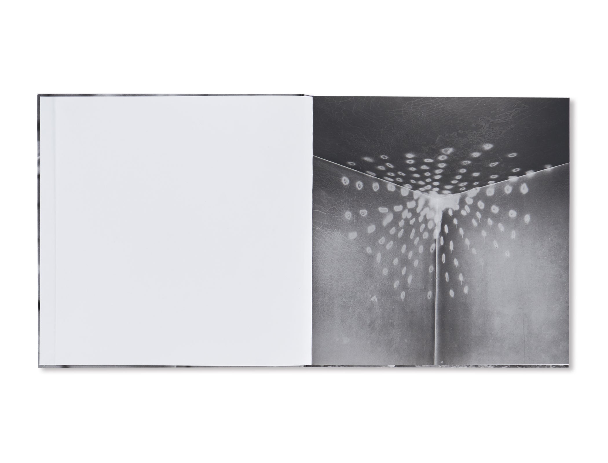 VANDALISM by John Divola [SIGNED] – twelvebooks