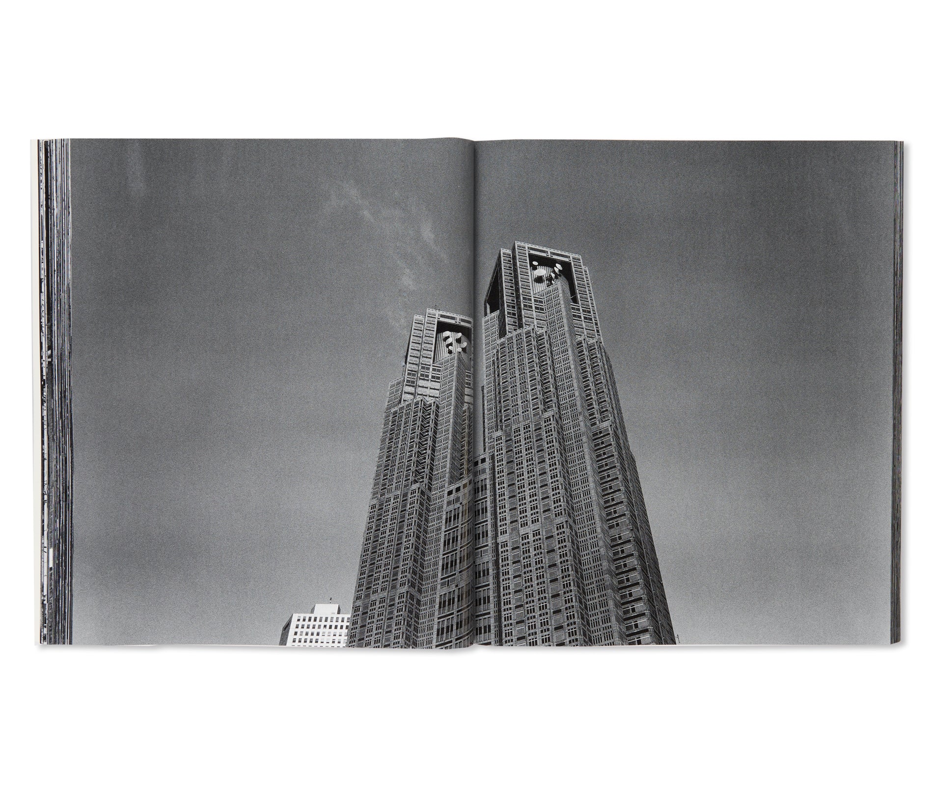 流石 / RYU U SE KI - HYSTERIC No.10 by Nobuyoshi Araki – twelvebooks