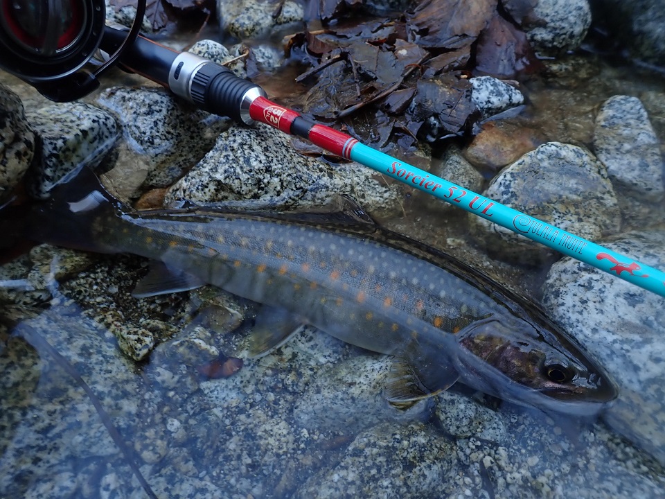 TULALA ツララ トリュテ ソルシエ 52UL TRUITE Sorcier ツララ(TULALA