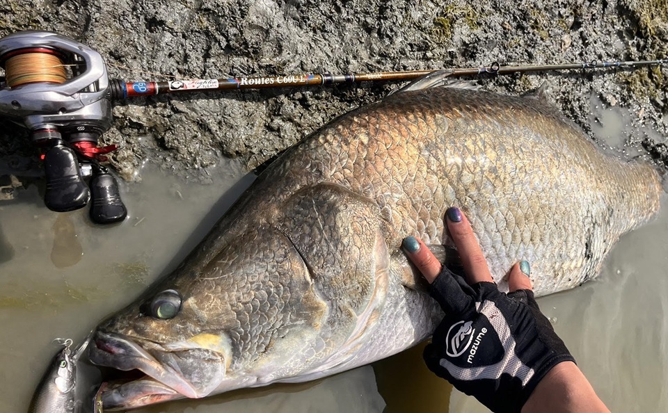 TULALA | Ford every stream | » 【STAFF】かまちゃん的！ツララの