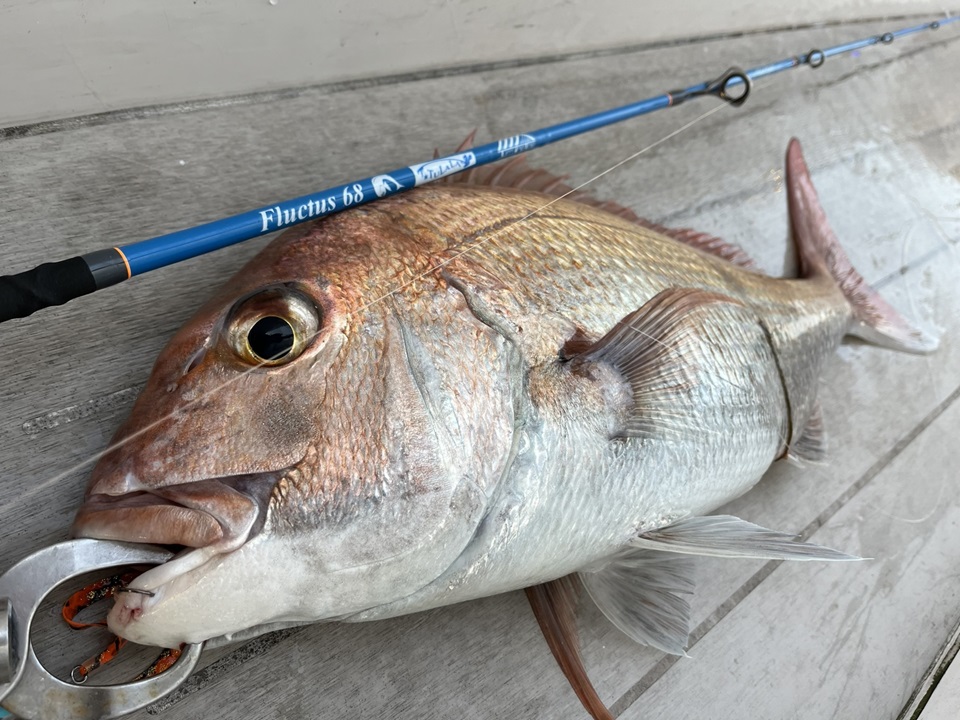 TULALA | Ford every stream | » 【STAFF】TurnTheTide キャスティング