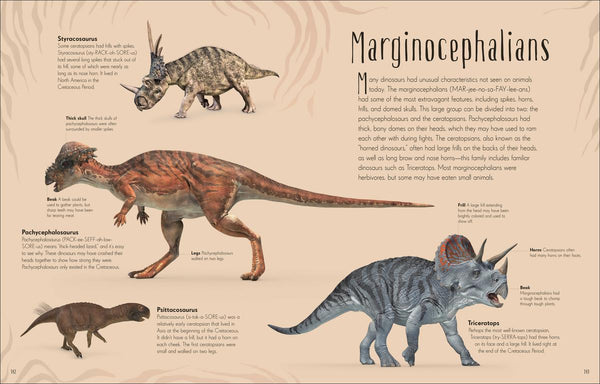 Dinosaurs and Other Prehistoric Life – TYPE Books