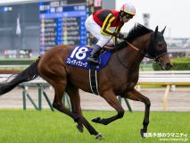 新潟記念2025】プロ予想MAX四天王・霧プロの重賞展望「ここが一番力を