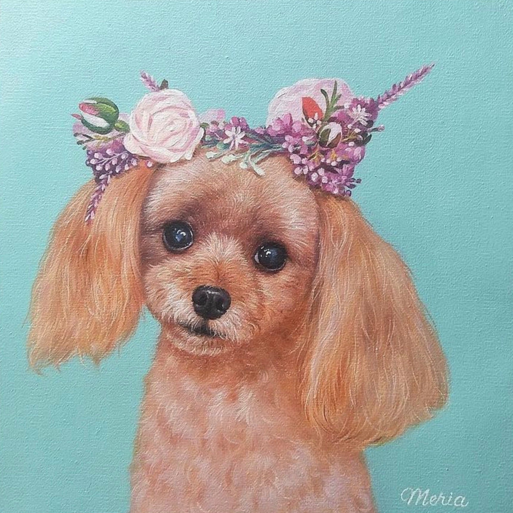 海外犬服 高品質なインポートのドッグウェア通販【draw pet】my pet