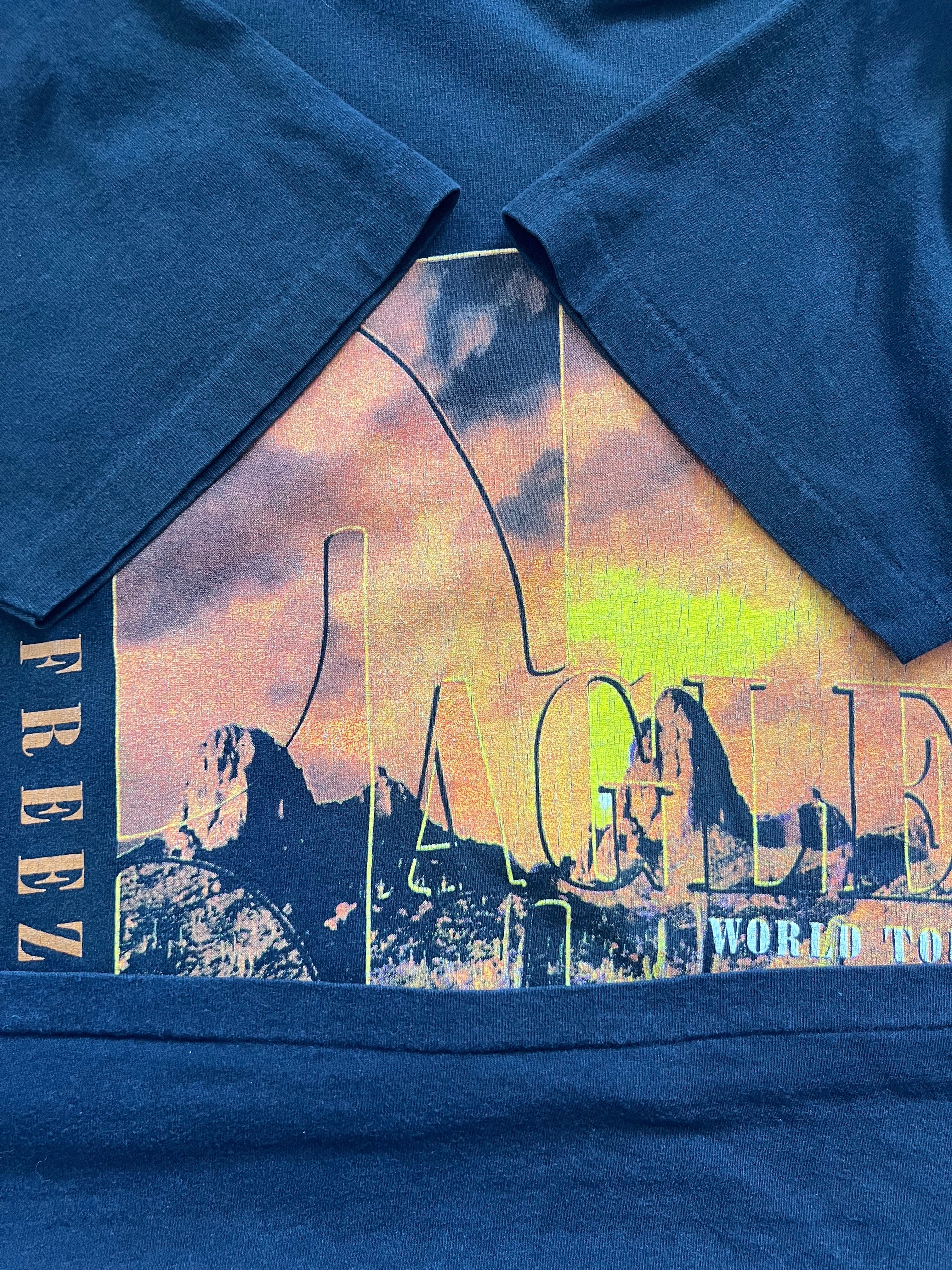 Vintage Eagles Hell Freezes Over World Tour 1994 T-shirt. Large