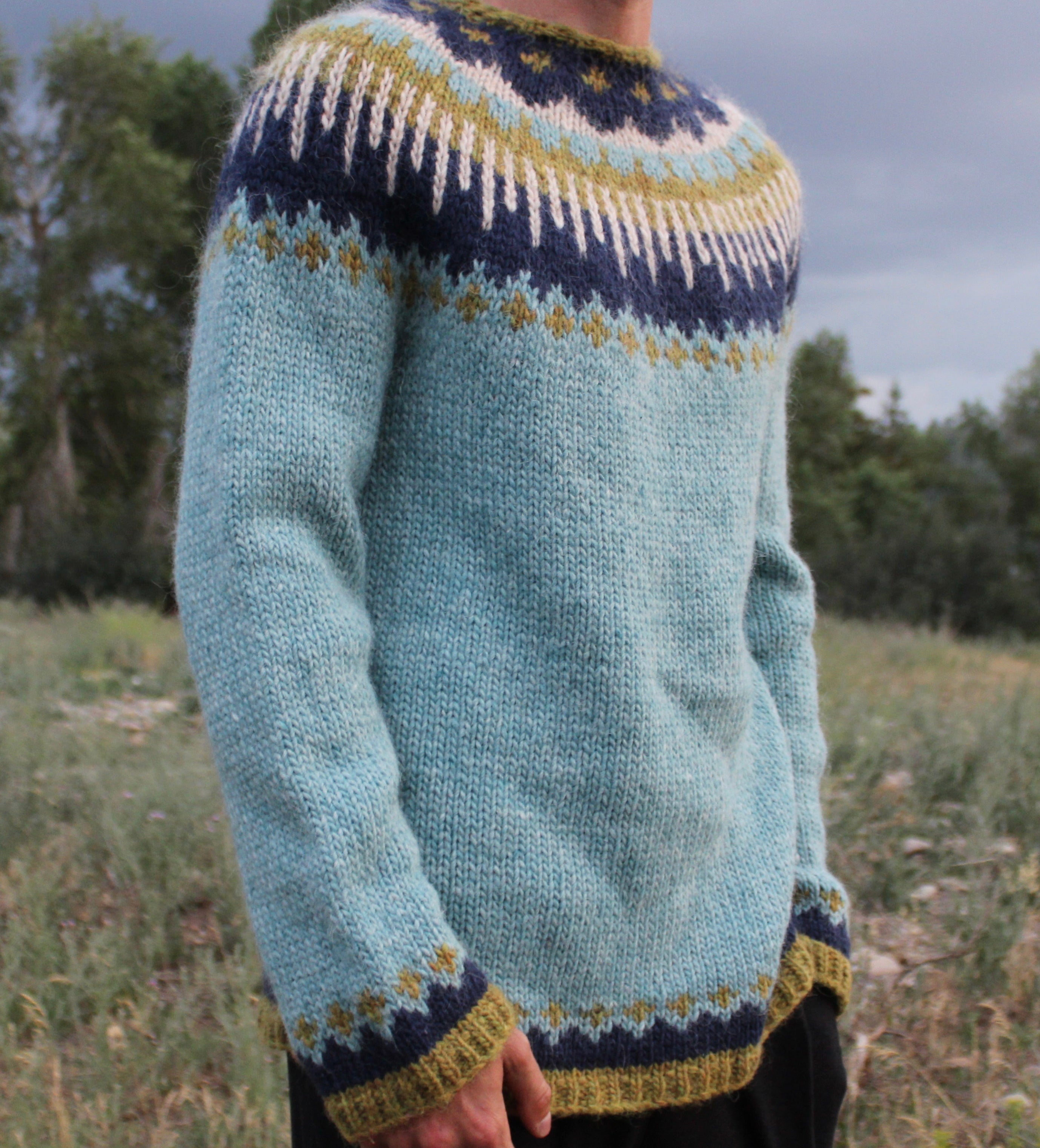 Icelandic Alpine Sweater Kit – Violent Cat Lady