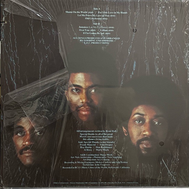 The Main Ingredient｜Shame On The World (LP)｜レコード通販