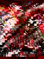 ASAGI (浅葱) D. HIROKI (大城) solo photo | vkgy (ブイケージ)