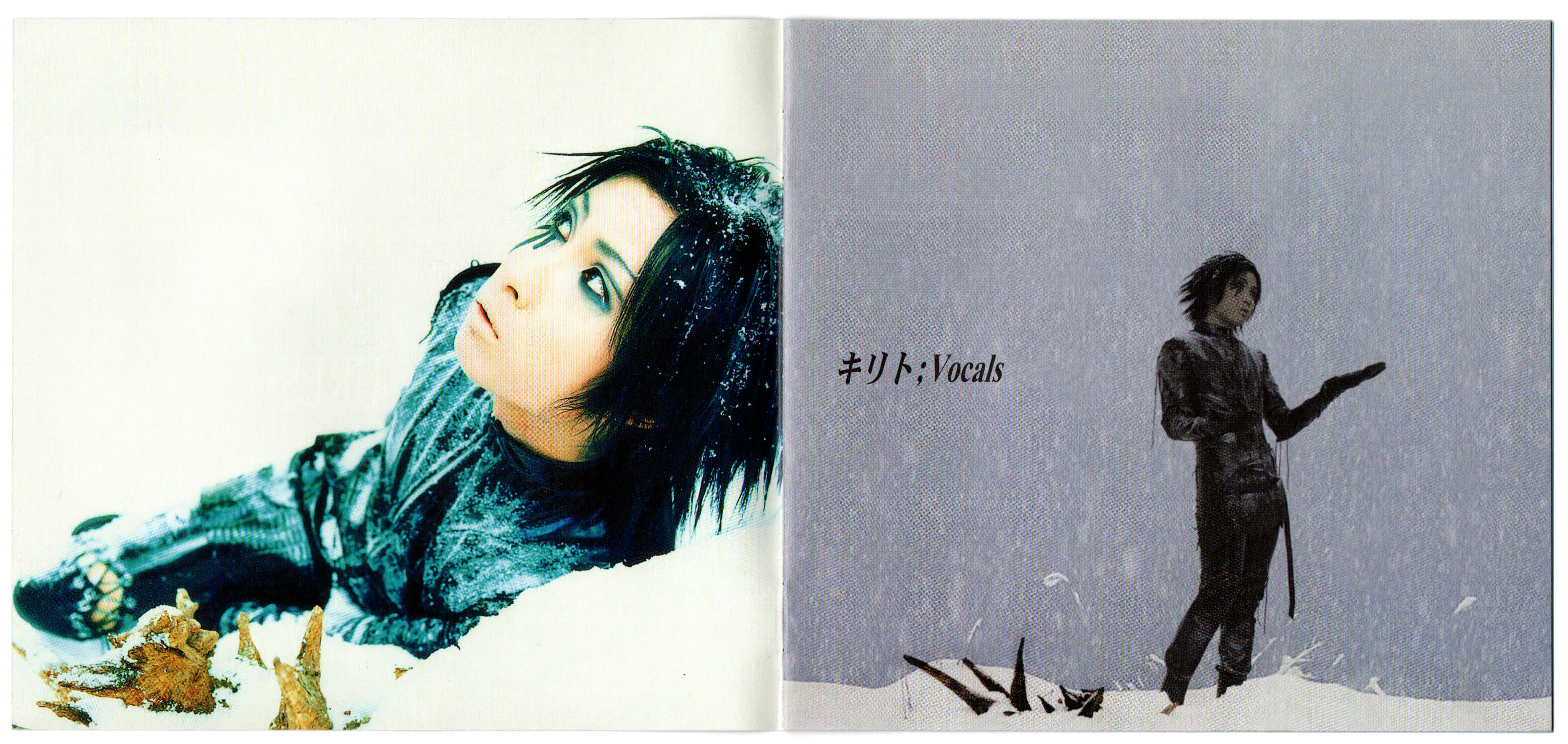 CREATURES- - PIERROT | vkgy (ブイケージ)