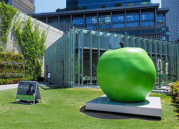 安藤忠雄展 青春 – TADAO ANDO YOUTH ｜ VS. | うめきた「グラン