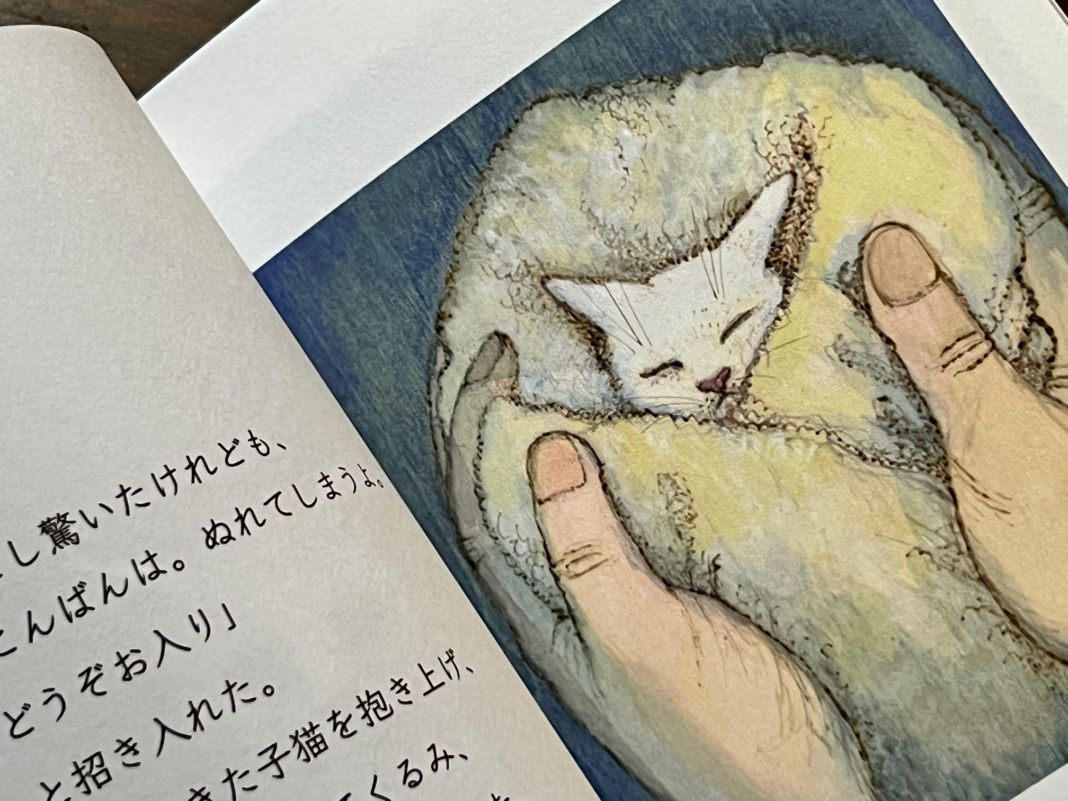 猫野ぺすか【サイン・ポストカード付】11月の猫 | 猫本専門書店 書肆