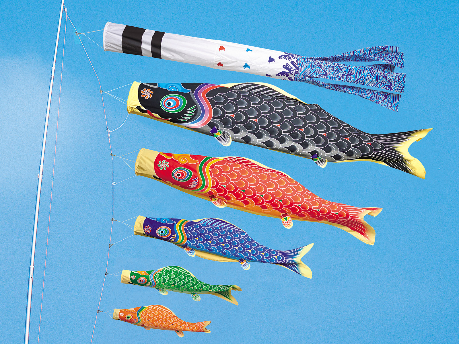 本染め 鯉のぼり 鯉幟 5m 手染めの美品です 本染め 鯉のぼり 鯉幟 5m