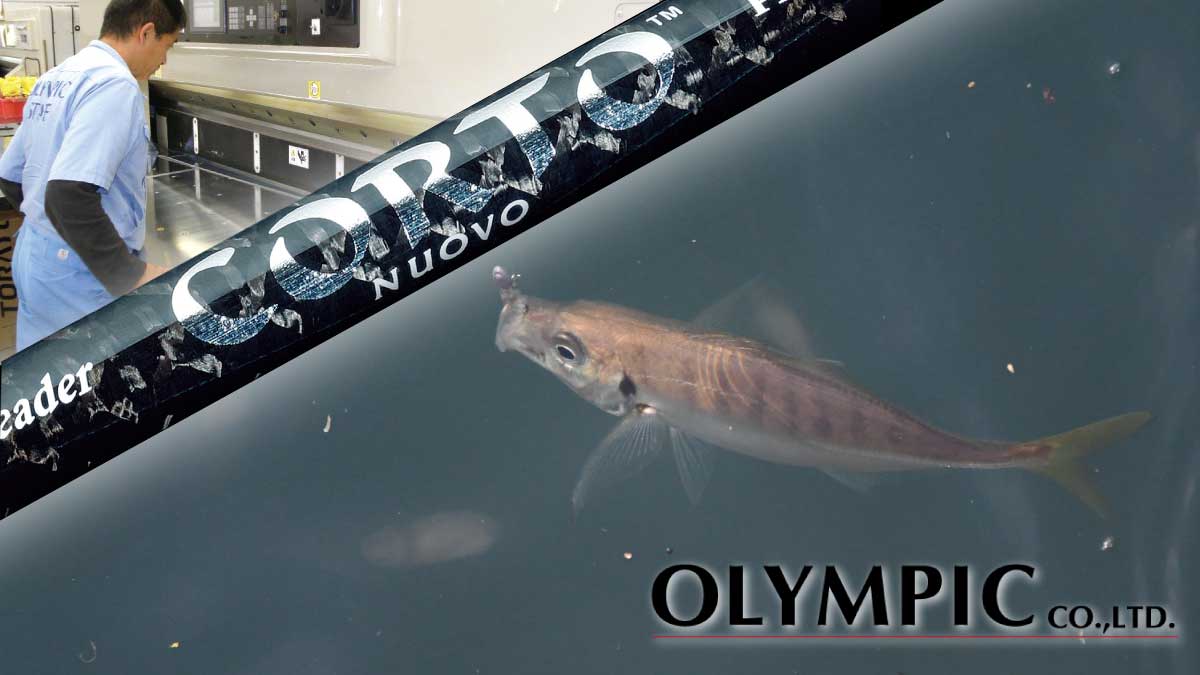 アジングロッドのほんとうの「コスパ」をオリムピック・コルトシリーズ