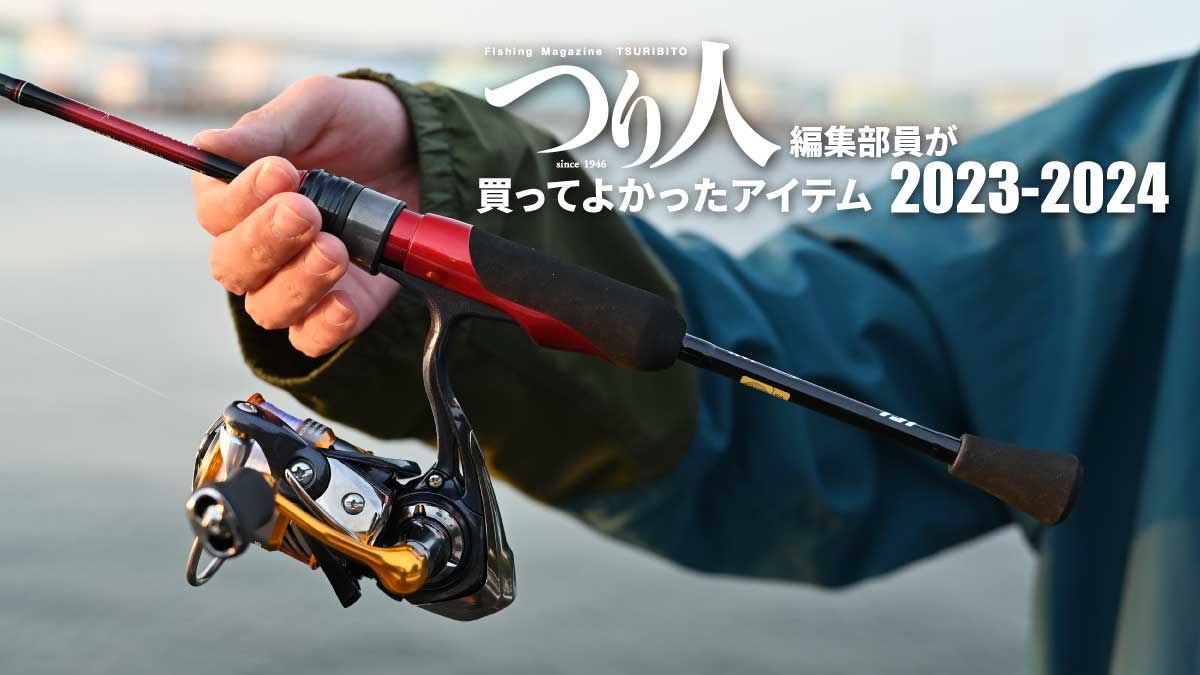 人生初の専用タックルでアジングの底なし沼へダイブ！／ダイワ・月下