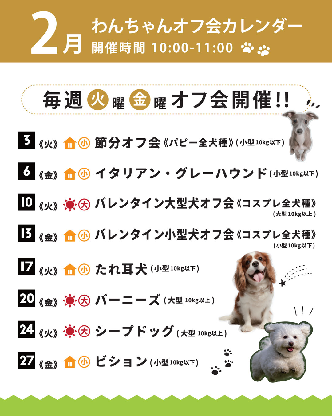 わんちゃんオフ会カレンダー｜WHATAWON（ワタワン） | WHATAWON