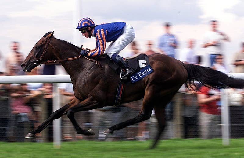 99年 ジョッケクルブ 仏ダービー優勝 競馬ゼッケン モンジュー MONTJEU