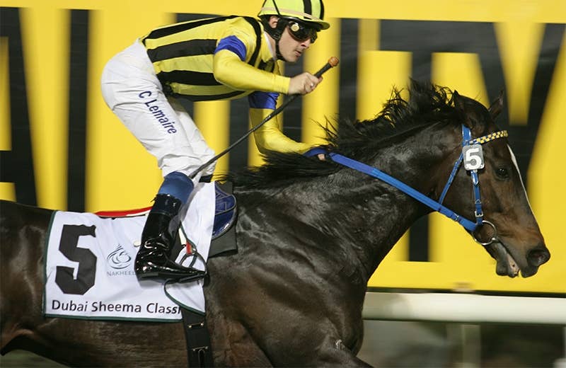 ハーツクライ（Heart's Cry） | 競馬データベース | JRA-VAN World