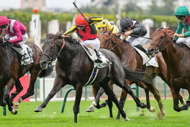 凱旋門賞】「枠の神様がほほ笑んだ」「大駆けの可能性は否定できない