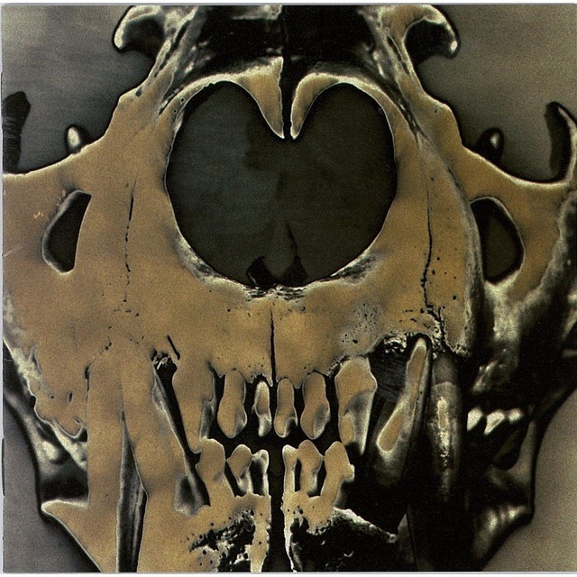 激レア/新品/日本盤/11/CD/BOX LOUDNESS ラウドネス メタル CD