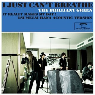the brilliant green | Warner Music Japan