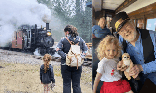 Ice Cream, Dolls & Plushies Train - WW&F Railway