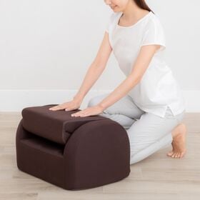 ダークブラウン】芦屋美整体 骨盤シェイプエアープレミアムを税込