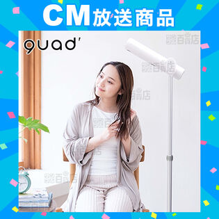 グレー] ハンズフリースタンドヘアドライヤー BISARA (ビサラ