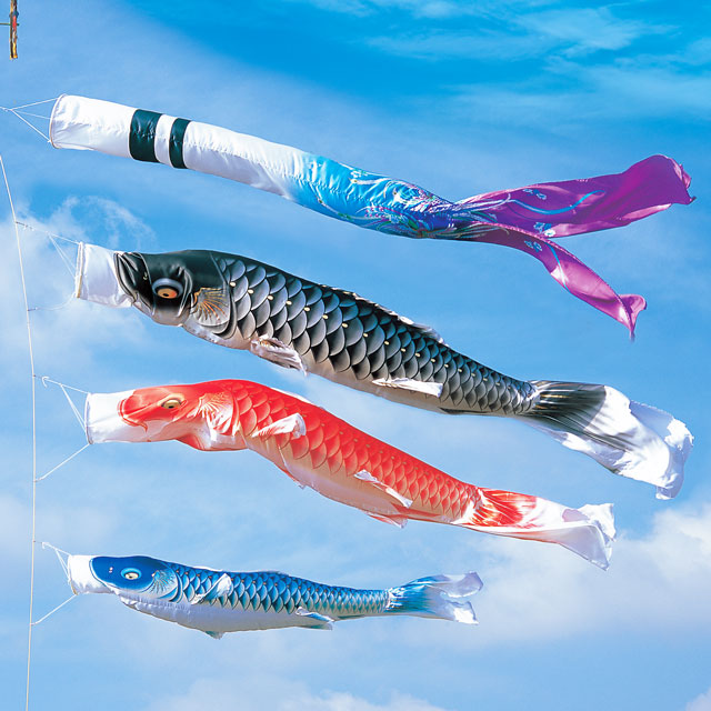 5m積美画スーパースターゴールド鯉のぼり6点セット（ポールなし）が