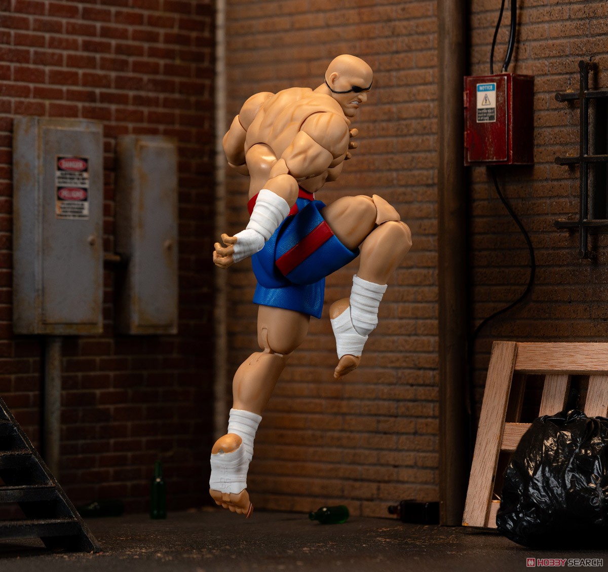 ストリートファイター サガット アクションフィギュア (完成品