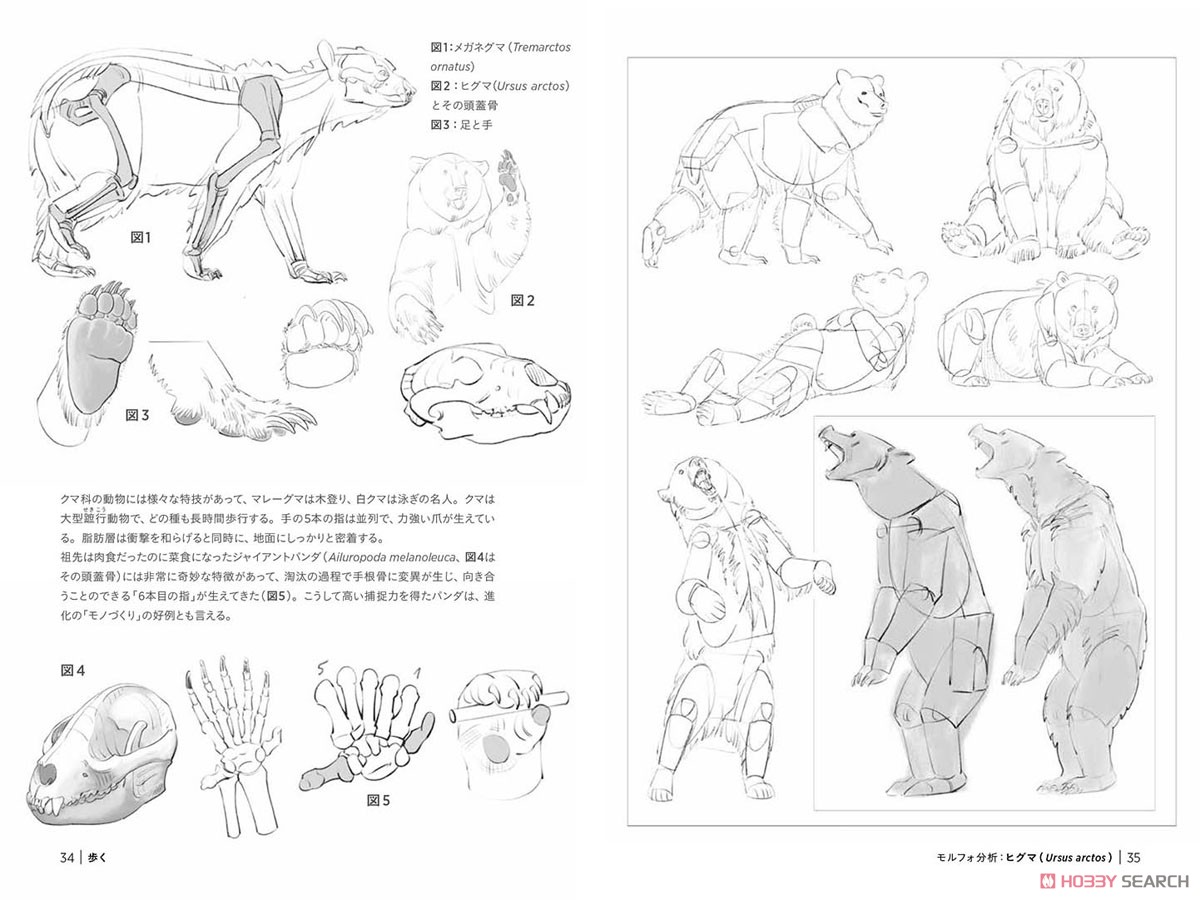 モルフォ人体デッサン ミニシリーズ 動物をリアルに描く (書籍