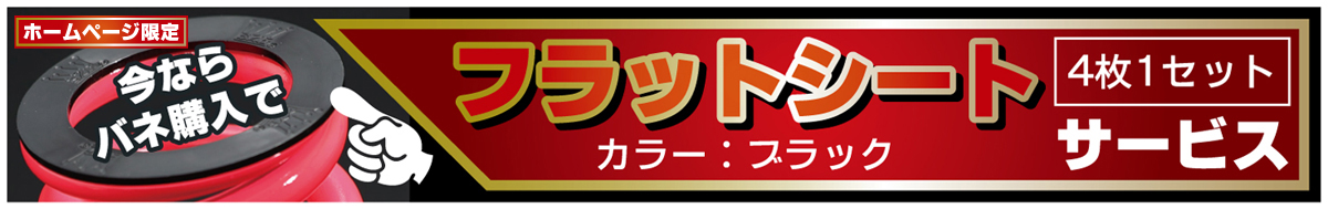 チャラバネ・ID66（65-66兼用）-H170 商品詳細 広島県東広島市西条町の