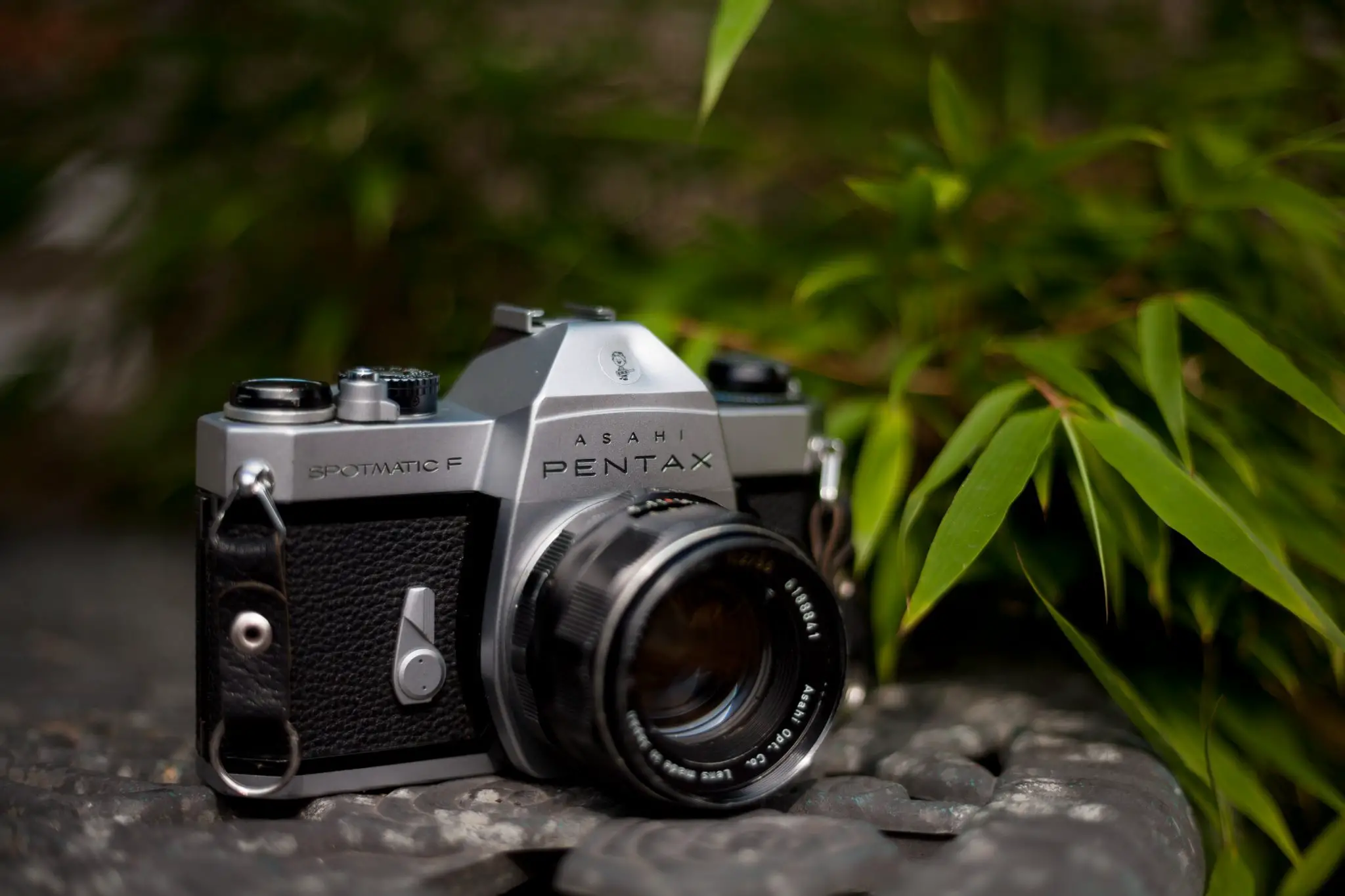 5 Frames With a Pentax Spotmatic F - By Ray Goodwin - 35mmc