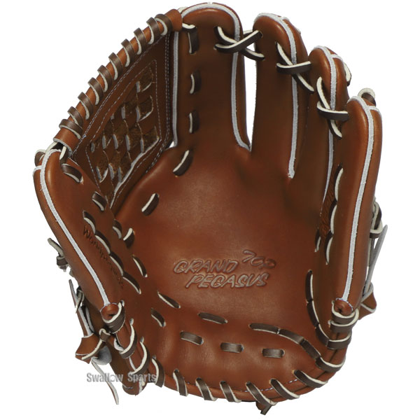 2/21～23限定価格】 野球 ワールドペガサス グランドペガサストップ