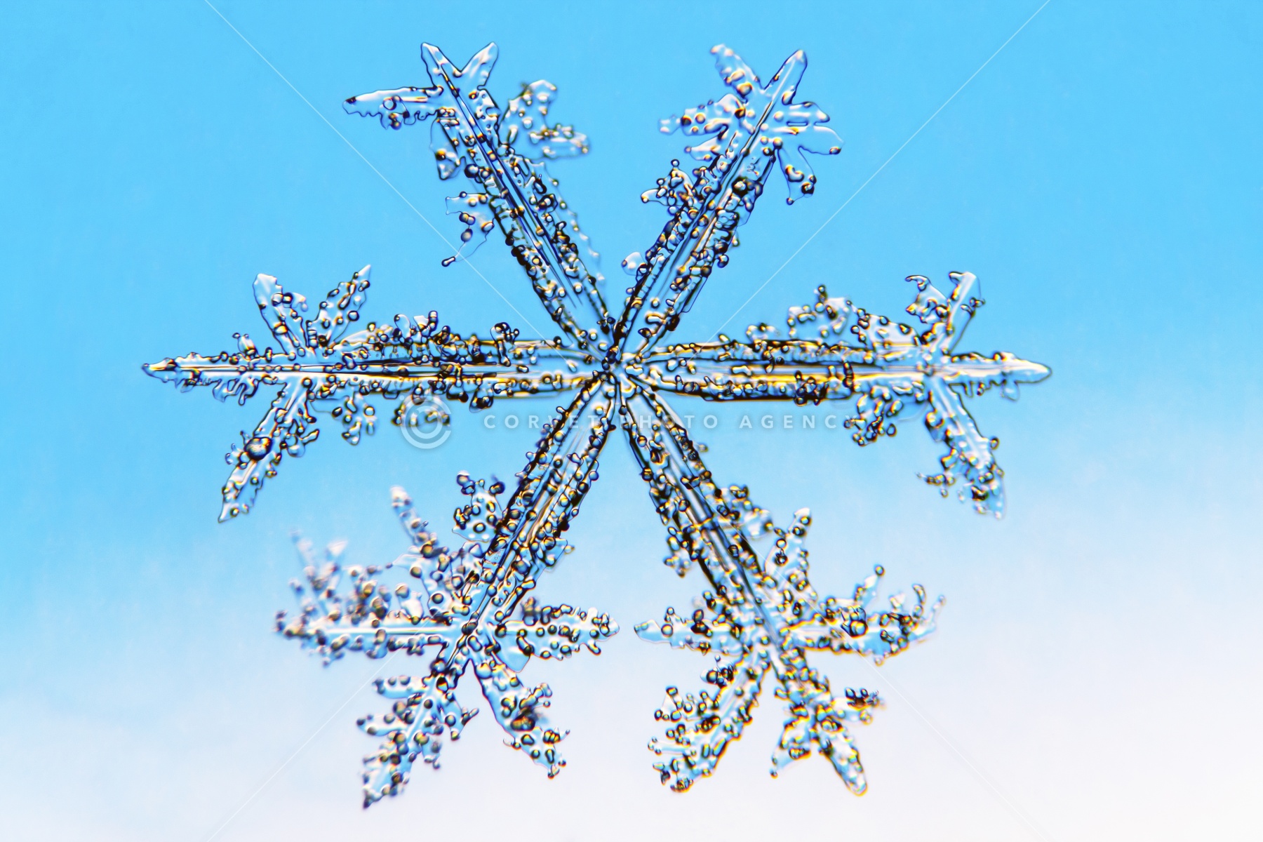 つねりん 雪の結晶 7点 Snow_flakes_03.png