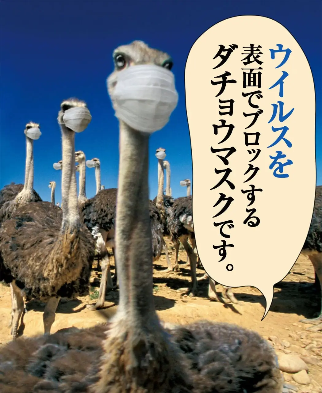 通販生活®ダチョウ抗体マスク25枚｜【公式】カタログハウスの通販サイト