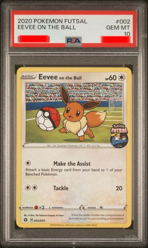 イーブイ 海外版 英語版 フットサル プロモ Eevee on the Ball - 002