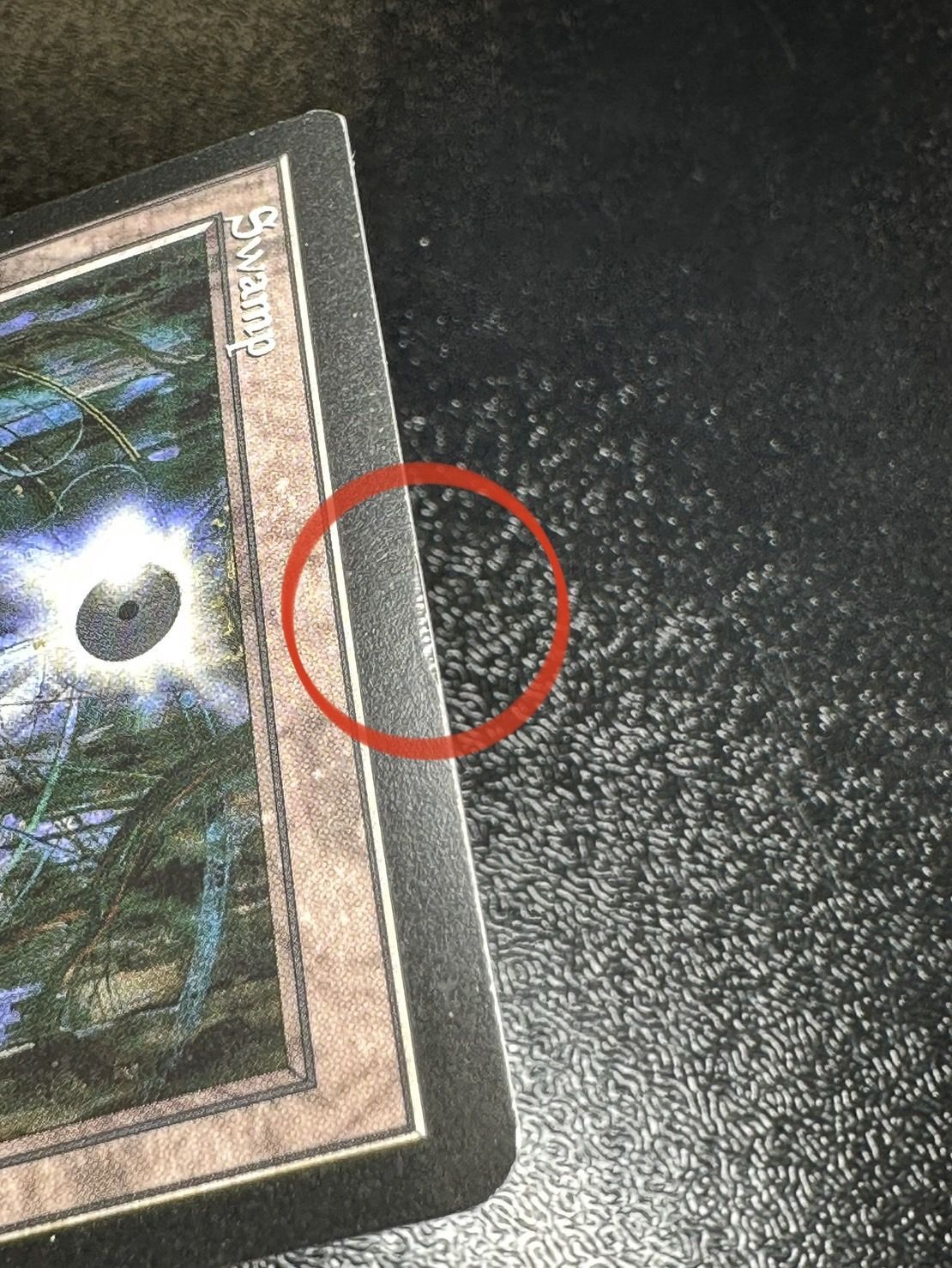 PLD]沼/Swamp《英語》【Guru Lands】#90