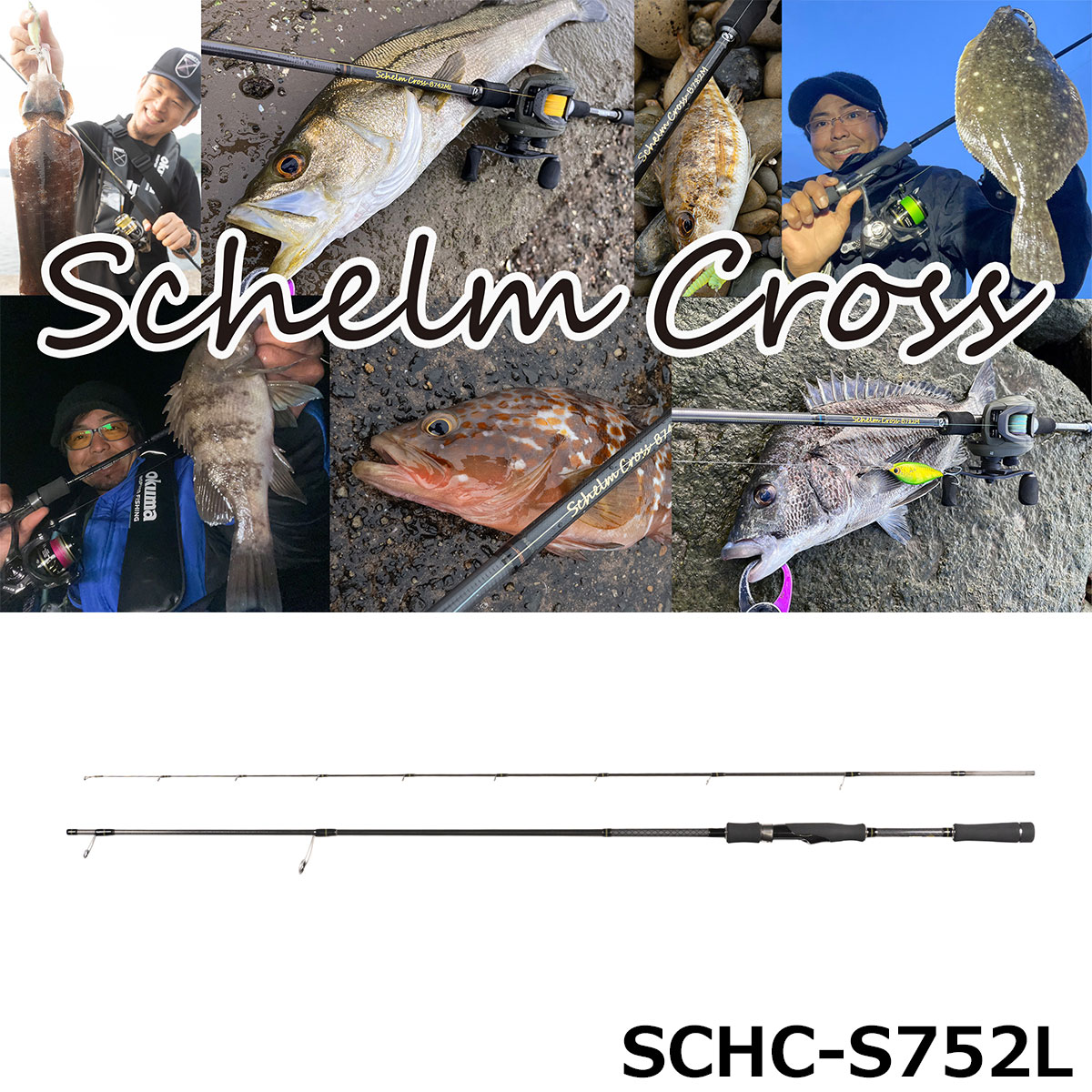 ゼニス(ZENITH) シュレム クロス(Schelm Cross) SCHC-S792ML☆セール