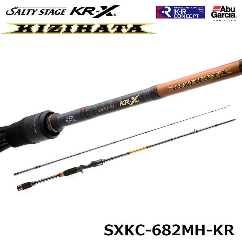 アブガルシア(Abu Garcia) ソルティーステージプロトタイプ アジング