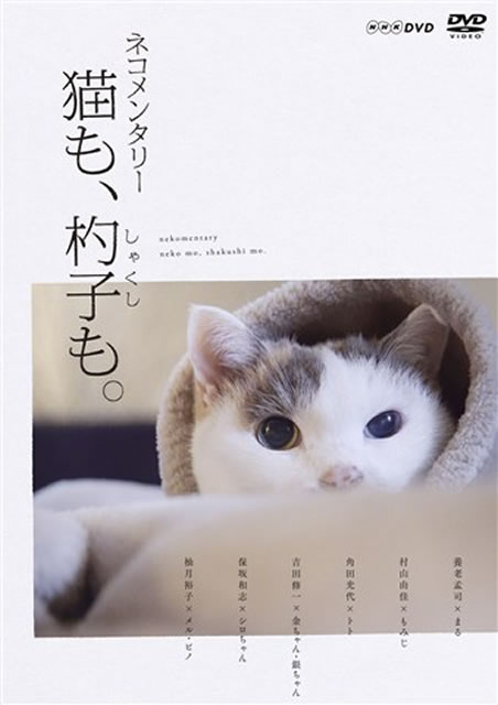ネコメンタリー 猫も、杓子も。〈2枚組〉 [DVD] - CDJournal