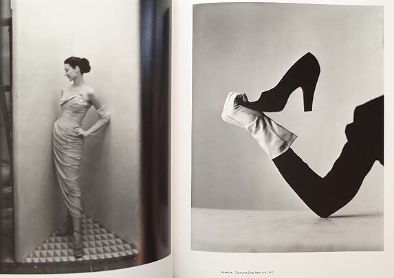 アーヴィング・ペン 写真集 Irving Penn Beyond Beauty| アート写真集