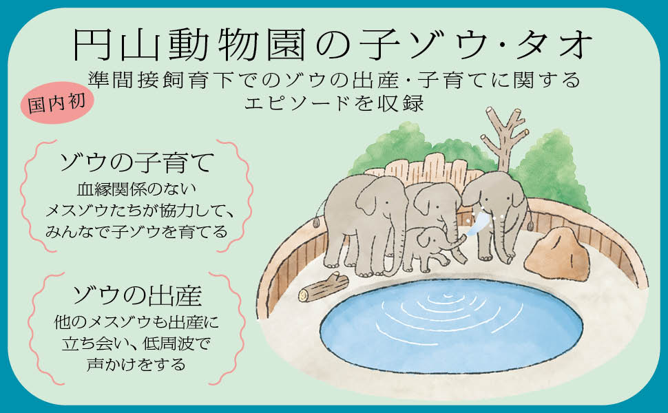 聴診器からきこえる 動物と老いとケアのはなし: 福祉 | 中央法規出版