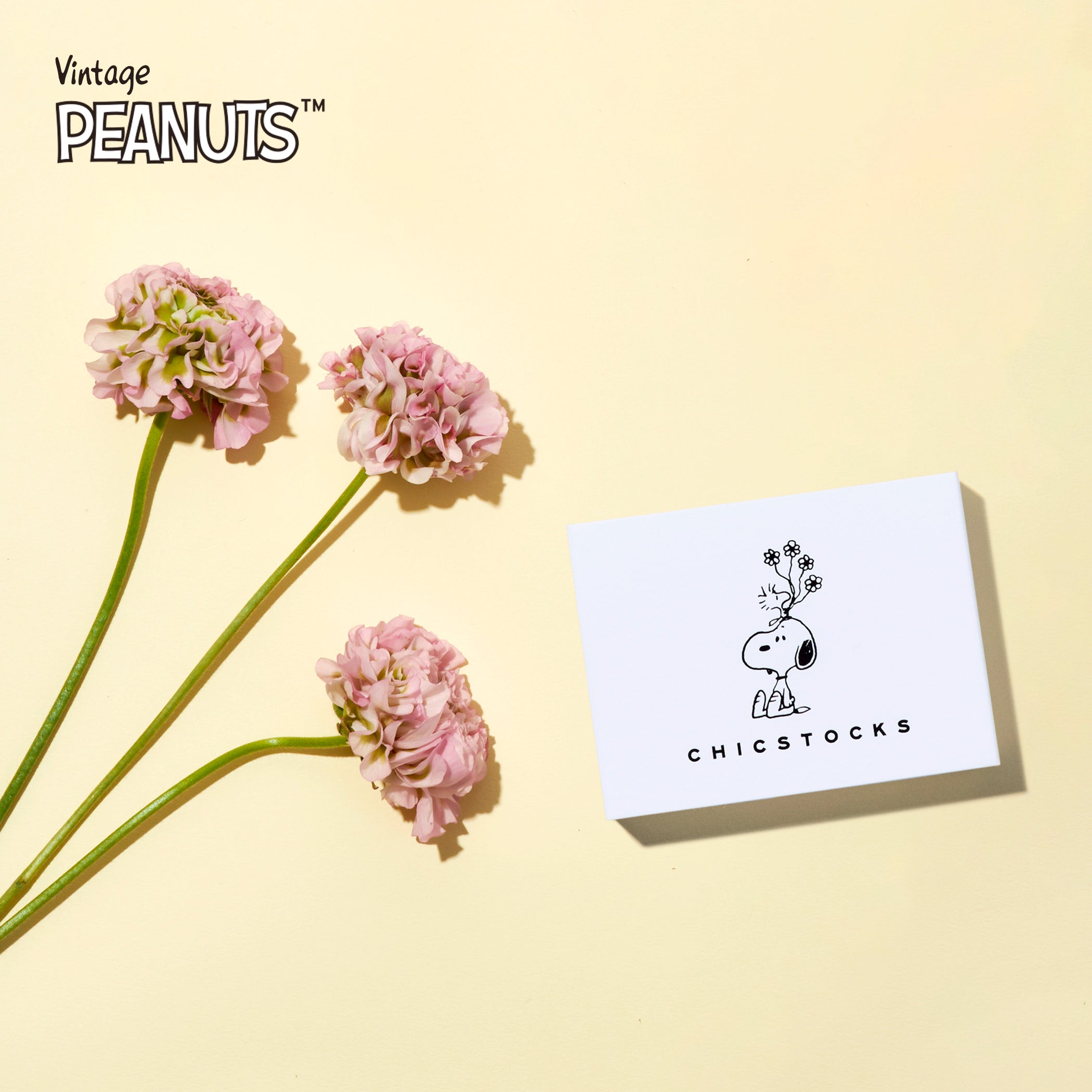 SNOOPY×CHICSTOCKS フラワー 全3色/22-24cm・24-26cm