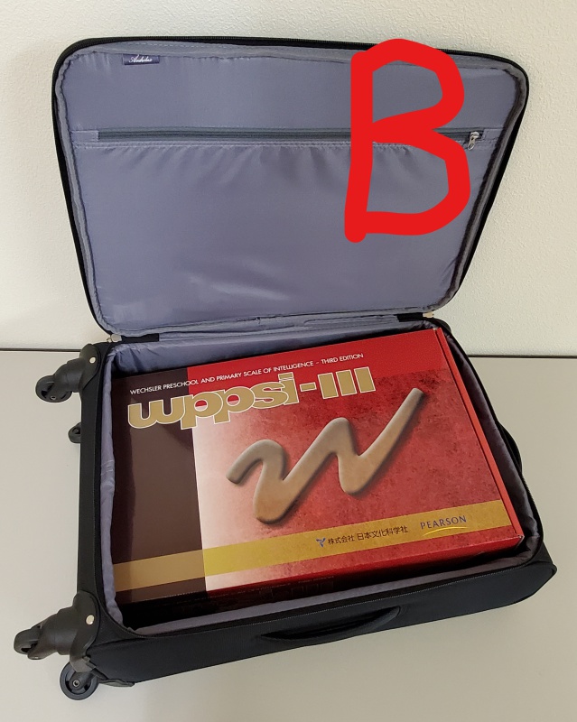 WPPSI-III知能検査（ウィプシ・スリー）｜心理検査専門所｜千葉テスト